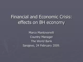 Financial and Economic Crisis: effects on BH economy