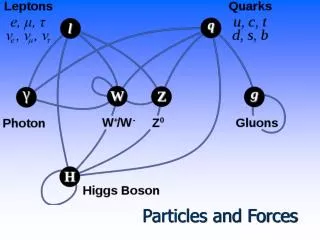 Particles and Forces