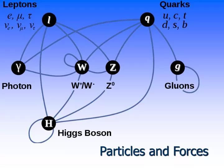 particles and forces