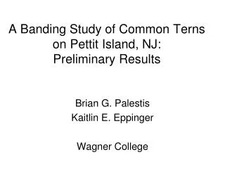 A Banding Study of Common Terns on Pettit Island, NJ: Preliminary Results