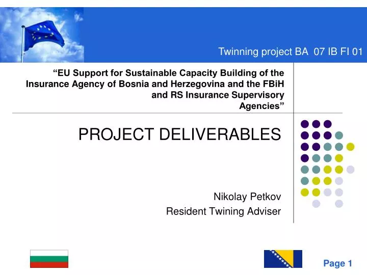 project deliverables nikolay petkov resident twining adviser