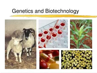 Genetics and Biotechnology