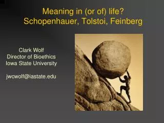 Meaning in (or of) life? Schopenhauer, Tolstoi, Feinberg