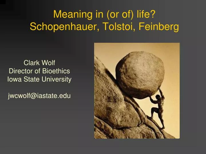 meaning in or of life schopenhauer tolstoi feinberg