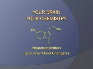 neurotransmitters and other mood changers