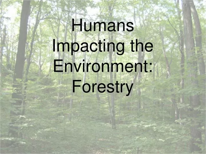 humans impacting the environment forestry