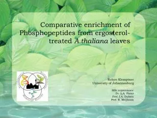 Comparative enrichment of Phosphopeptides from ergosterol-treated A.thaliana leaves