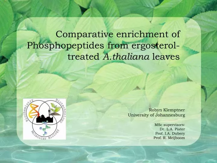 comparative enrichment of phosphopeptides from ergosterol treated a thaliana leaves