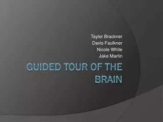 Guided Tour of the Brain