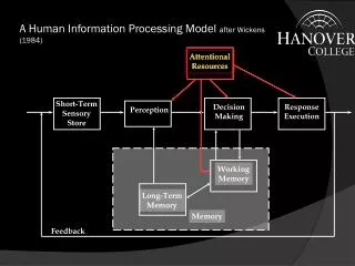 A Human Information Processing Model after Wickens (1984)