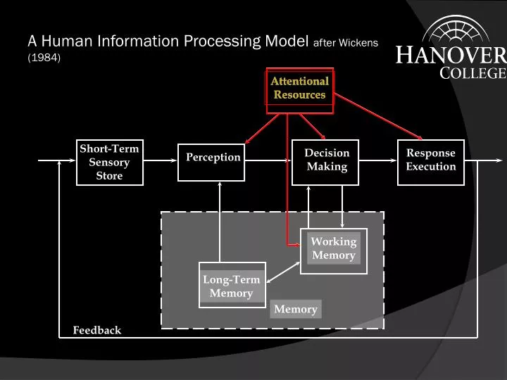 a human information processing model after wickens 1984