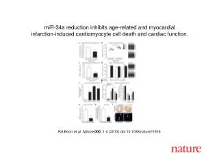 RA Boon et al. Nature 000 , 1-4 (2013) doi:10.1038/nature11919