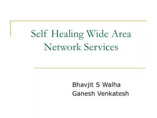 Self Healing Wide Area Network Services