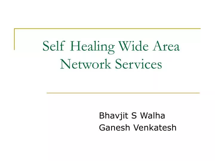 self healing wide area network services
