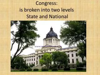 Congress: is broken into two levels State and National