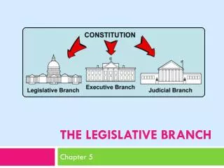 The legislative branch