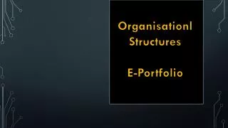 Organisationl Structures E-Portfolio