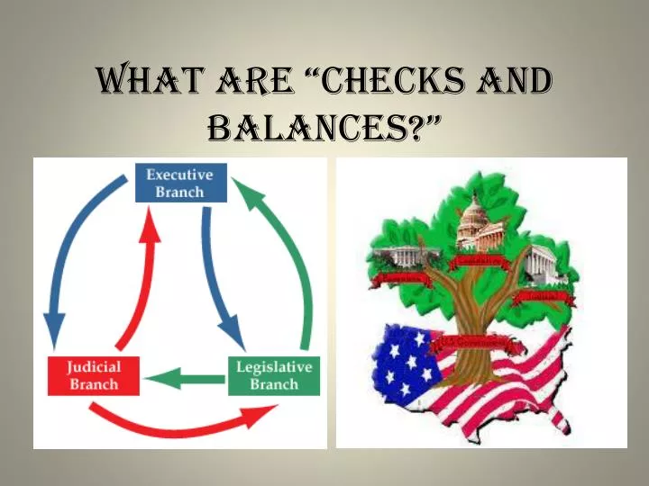 what are checks and balances