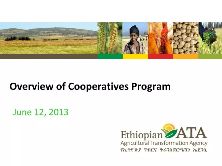 overview of cooperatives program