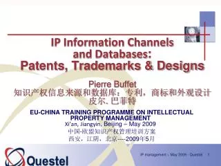 ip information channels and databases patents trademarks designs pierre buffet
