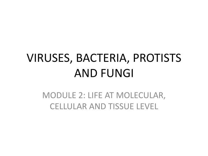 viruses bacteria protists and fungi