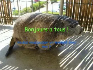 bonjours a tous