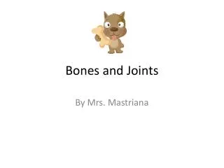 Bones and Joints