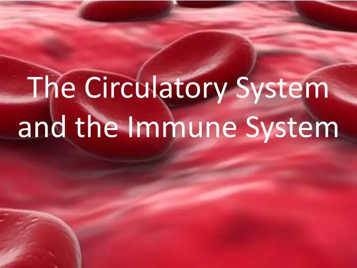 the circulatory system and the immune system