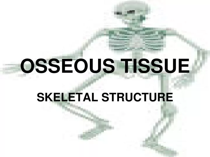 osseous tissue