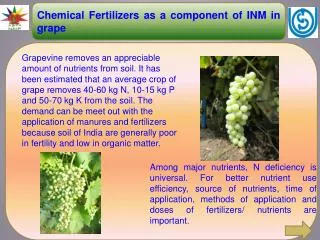 Chemical Fertilizers as a component of INM in grape
