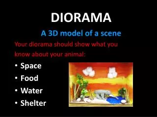 DIORAMA A 3D model of a scene Your diorama should show what you know about your animal: Space