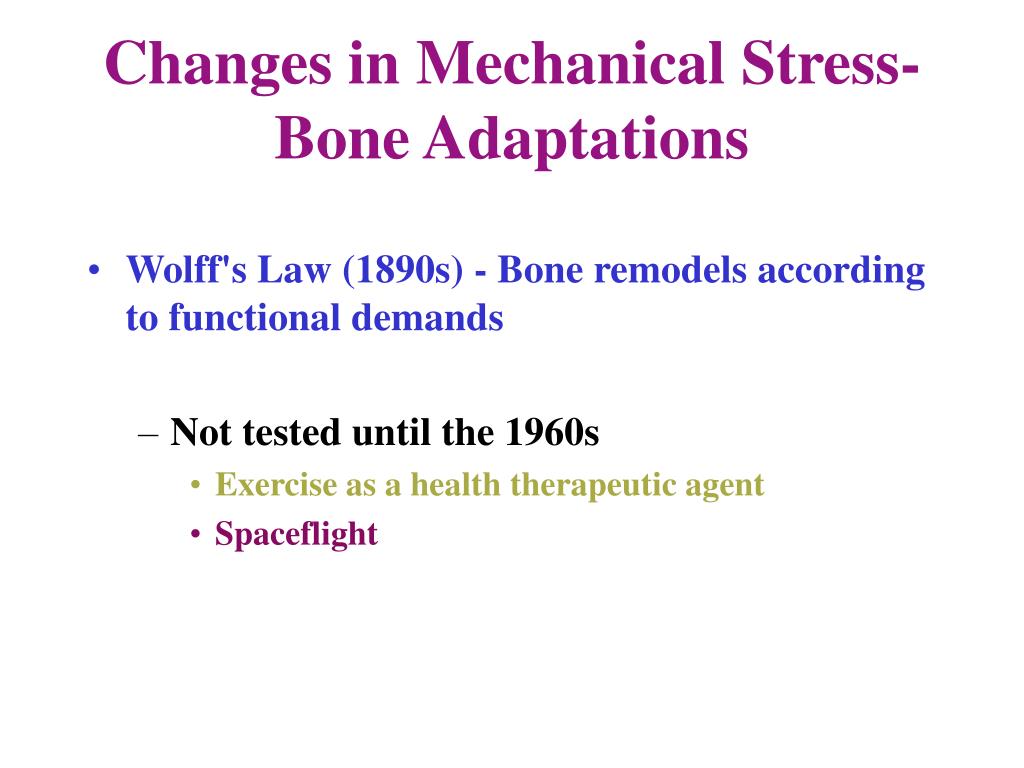 PPT - Changes in Mechanical Stress- Bone Adaptations PowerPoint ...