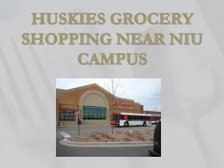 HUSKIES GROCERY SHOPPING NEAR NIU CAMPUS