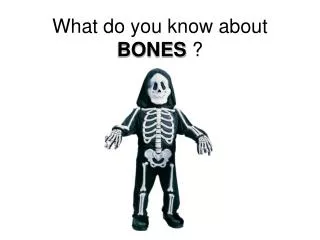 What do you know about BONES ?