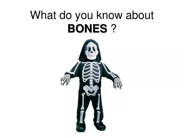 what do you know about bones