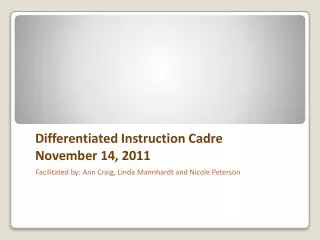 Differentiated Instruction Cadre November 14, 2011