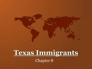 Texas Immigrants