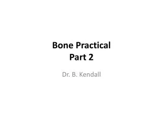 Bone Practical Part 2