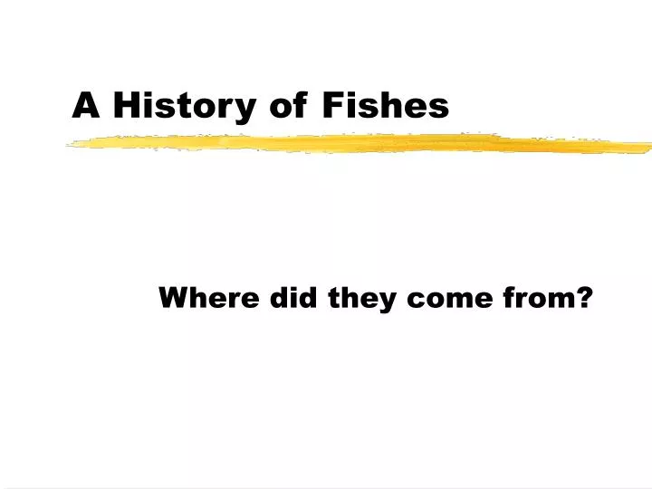a history of fishes