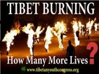 All the Self-immolation that has taken place in Tibet.