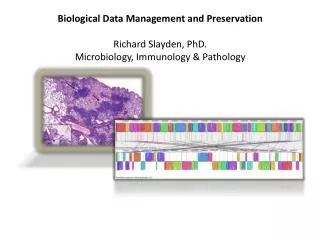 Biological D ata Management and Preservation Richard Slayden, PhD.