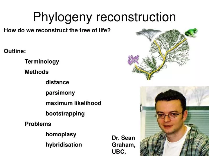 phylogeny reconstruction