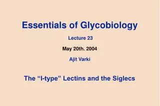 Essentials of Glycobiology Lecture 23 May 20th. 2004 Ajit Varki