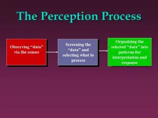 The Perception Process