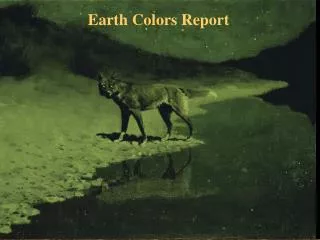 Earth Colors Report