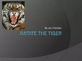 Imitate The Tiger