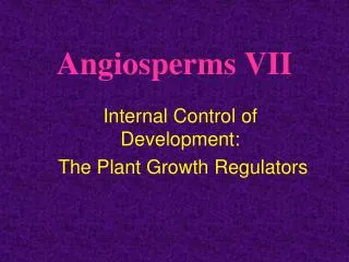 Angiosperms VII