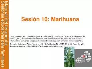 sesi n 10 marihuana