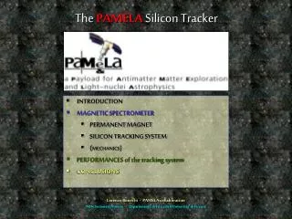 The PAMELA Silicon Tracker