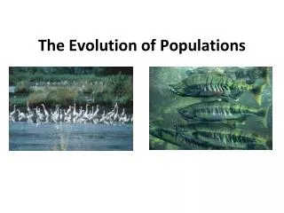 The Evolution of Populations